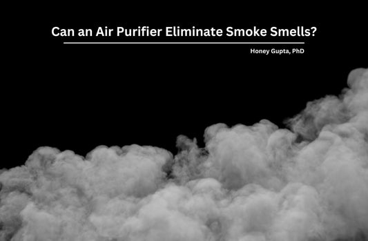 Can an Air Purifier Eliminate Smoke Smells
