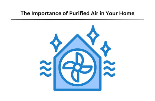 Importance of Purified Air