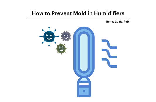 Prevent Mold in Humidifiers