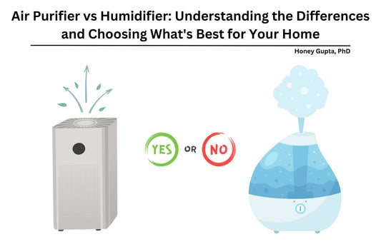 Air Purifier vs Humidifier:  Understanding the Differences and Choosing What's Best for Your Home