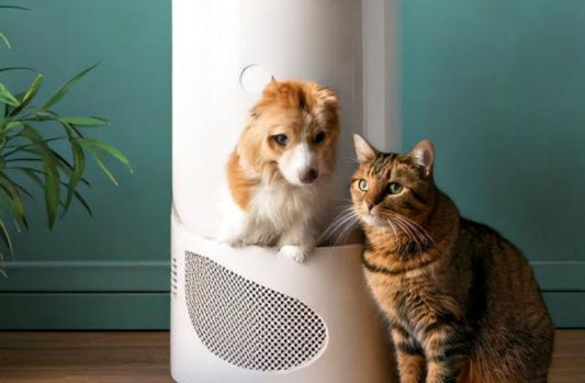 are air purifier safe for pets