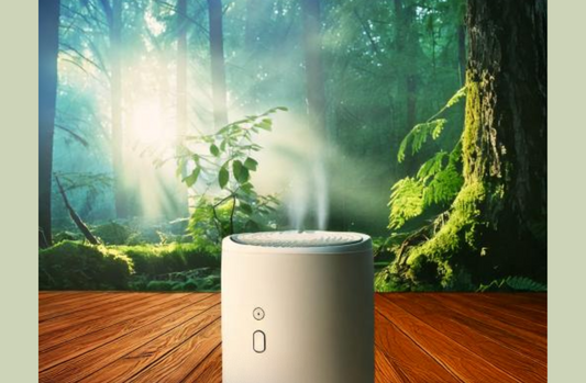 can air purifier remove odors