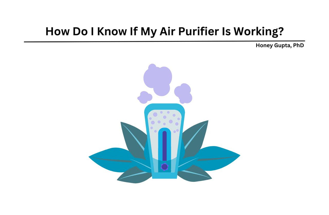 check air purifier is working