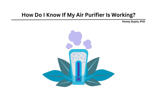 check air purifier is working