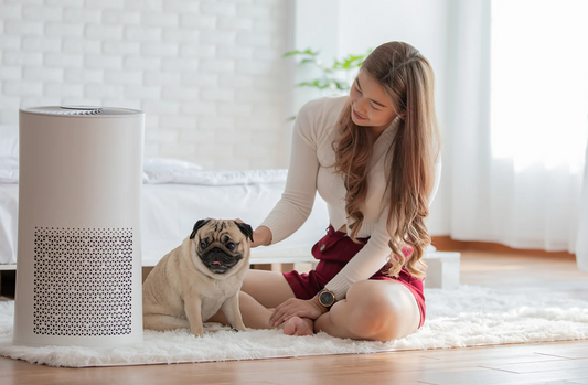 do air purifier help pet allergies