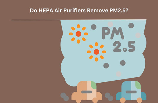 do hepa air purifier remove pm 2.5