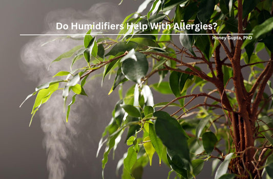 do humidifier help allergies
