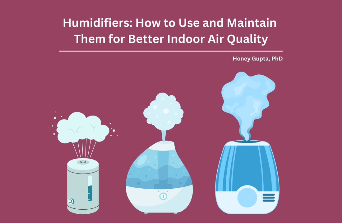 how to use and maintain humidifier