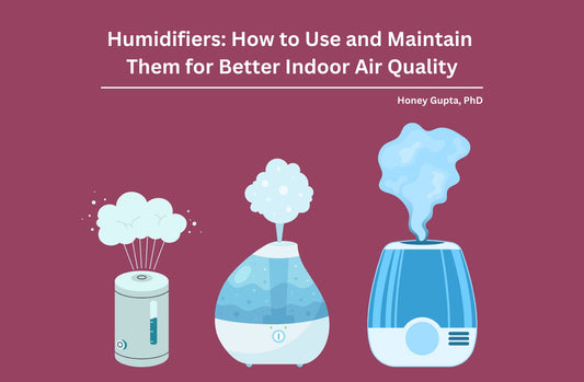 how to use and maintain humidifier