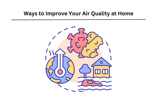 improve home air quality