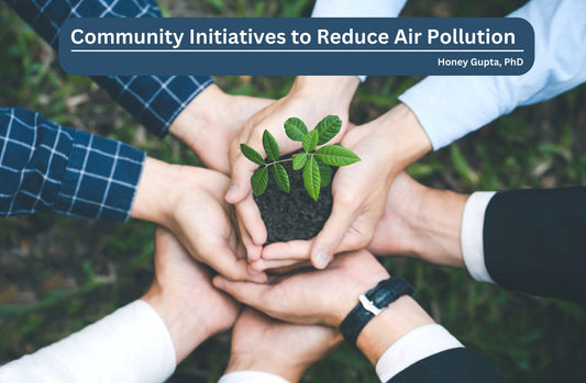 Community Initiatives to Reduce Air Pollution
