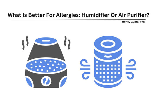 which is better for allergy humidifier or air purifier