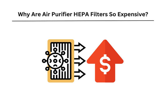 why hepa filters expensive