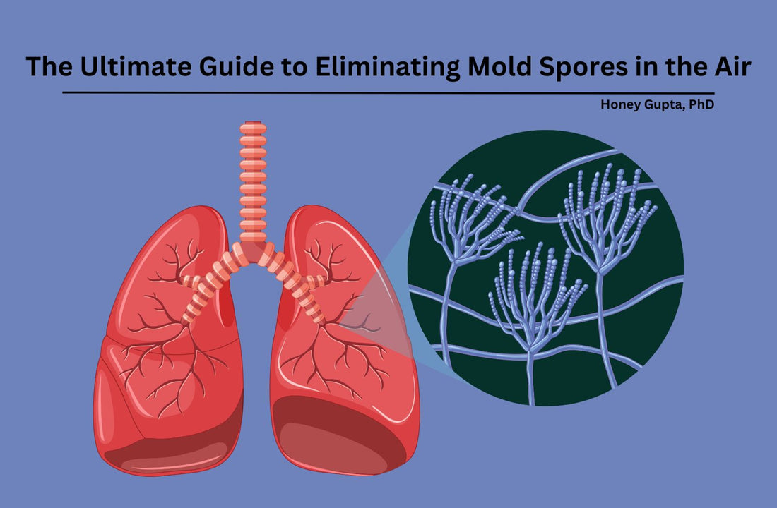 The Ultimate Guide to Eliminating Mold Spores in the Air
