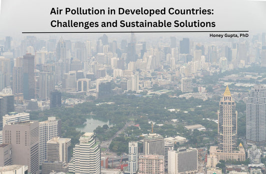 Air Pollution in Developed Countries: Challenges and Sustainable Solutions